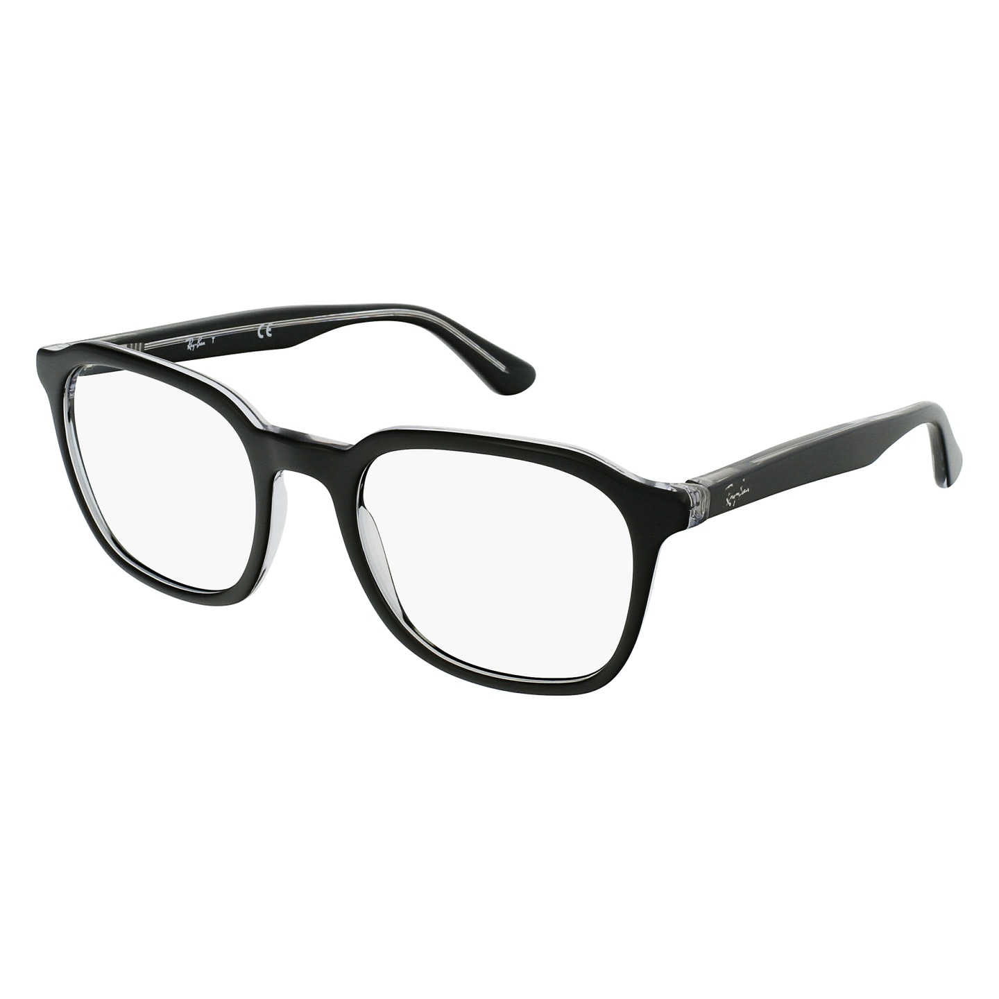 Ray-Ban 0RX5390